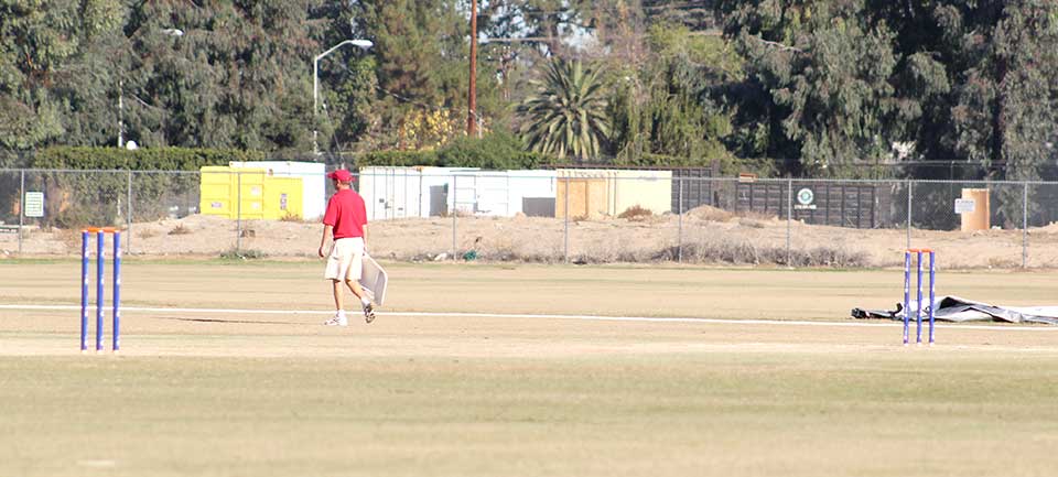 cricket wicket, cricket in california