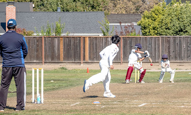 california cricket academy turf wicket