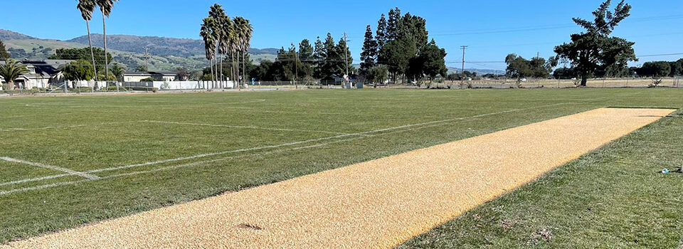 MLC Signs Deal To Bring H3 Hybrid Cricket Pitch To USA